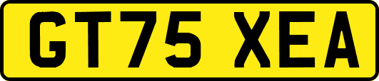 GT75XEA