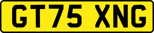 GT75XNG