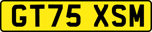 GT75XSM