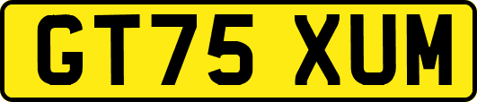 GT75XUM