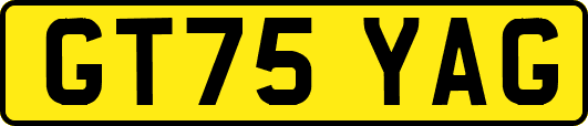GT75YAG