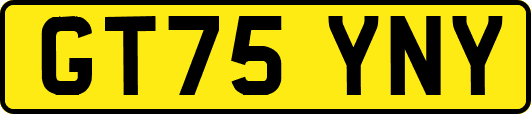GT75YNY