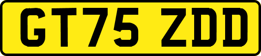 GT75ZDD