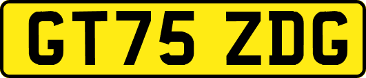 GT75ZDG