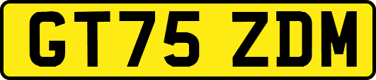 GT75ZDM