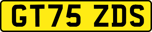 GT75ZDS