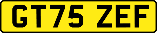 GT75ZEF