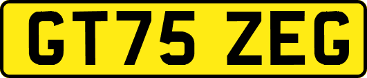 GT75ZEG