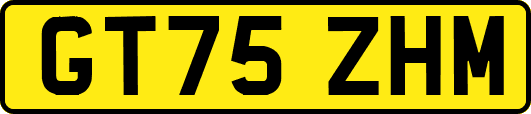 GT75ZHM