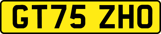 GT75ZHO