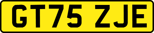 GT75ZJE