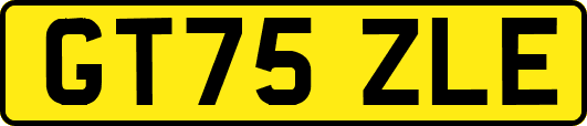 GT75ZLE