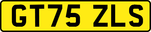 GT75ZLS