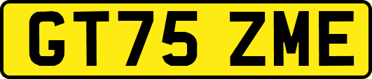 GT75ZME