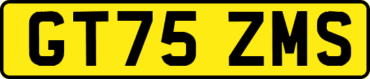 GT75ZMS