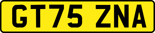 GT75ZNA