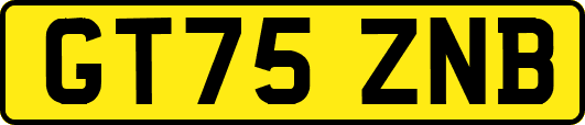 GT75ZNB