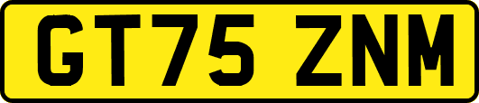 GT75ZNM
