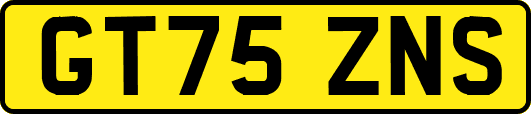 GT75ZNS