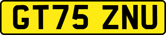 GT75ZNU