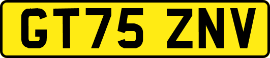 GT75ZNV