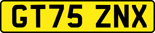 GT75ZNX