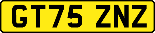 GT75ZNZ