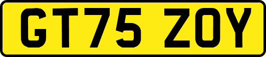 GT75ZOY