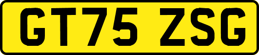 GT75ZSG