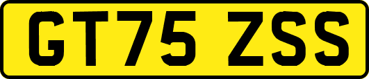 GT75ZSS
