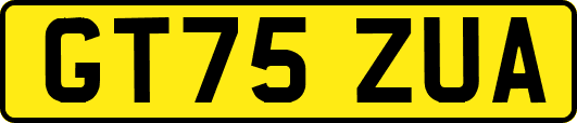 GT75ZUA