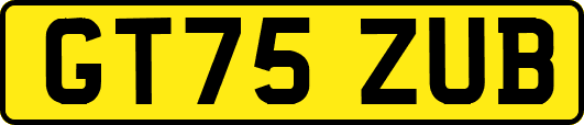 GT75ZUB