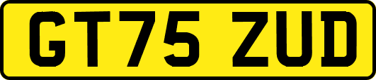GT75ZUD