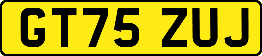 GT75ZUJ