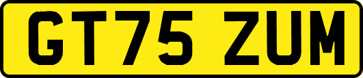 GT75ZUM
