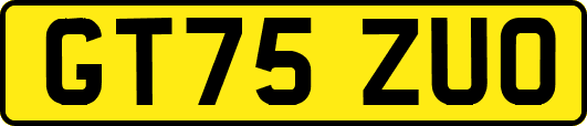 GT75ZUO