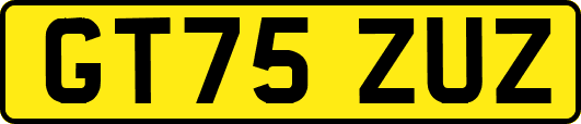 GT75ZUZ