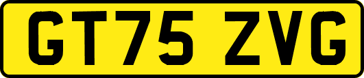 GT75ZVG