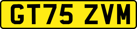 GT75ZVM