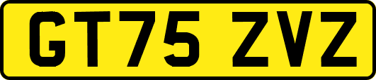 GT75ZVZ