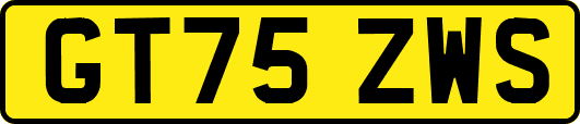 GT75ZWS