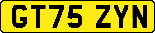 GT75ZYN
