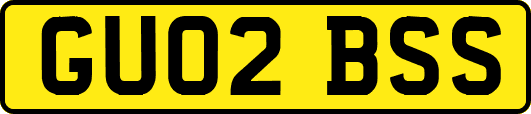 GU02BSS