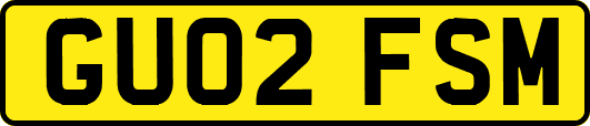 GU02FSM