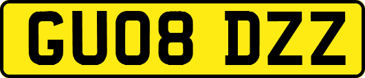 GU08DZZ