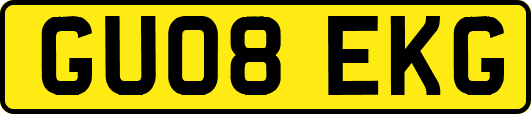 GU08EKG