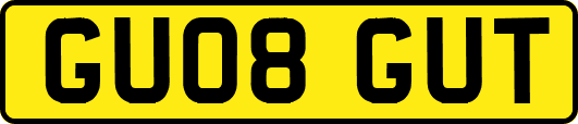 GU08GUT