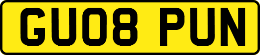 GU08PUN