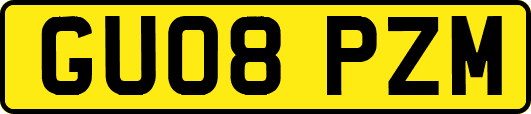 GU08PZM