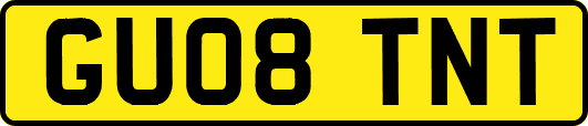 GU08TNT